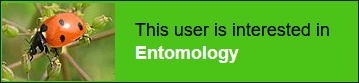 This user is interested in entomology