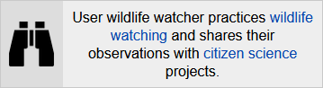 This user practices wildlife watching and shares their observations with citizen science projects
